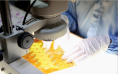 01 マテリアル事業部 Material Division