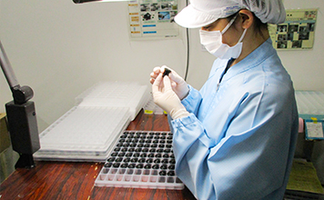 車載部品外観検査